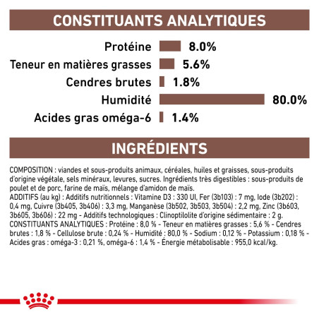 Cat Gastro Intestinal