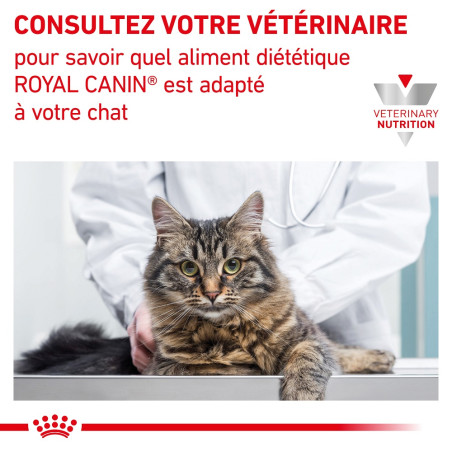 les croquettes chat fibres response royal canin sont des aliments riche en  fibres