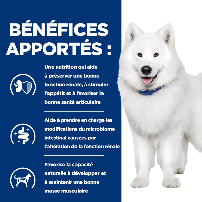 Chien k/d + Mobility Mijotés