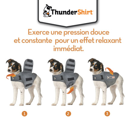 ThunderShirt