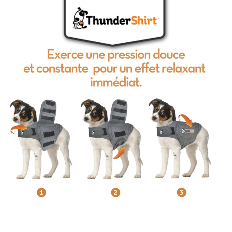 Gilet anti best sale anxiete pour chien