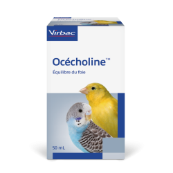 Océcholine