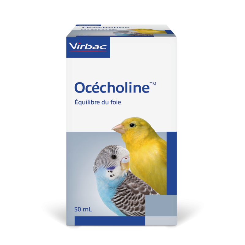 Océcholine