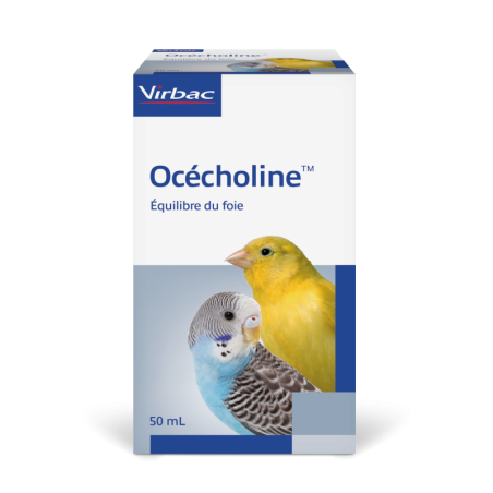 Océcholine