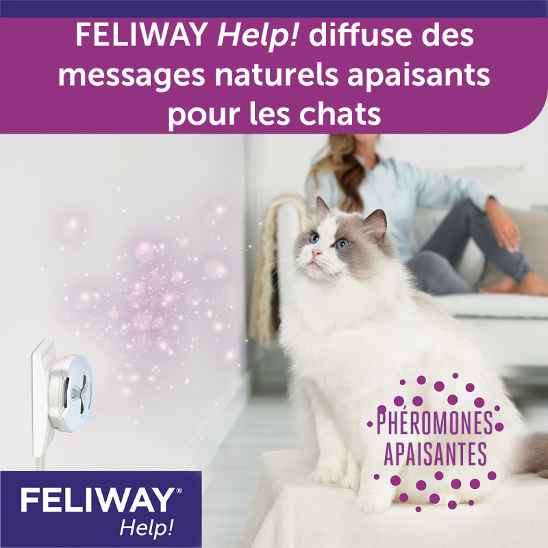 Feliway Help