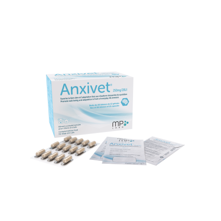 Anxivet