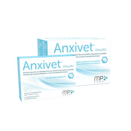 Anxivet