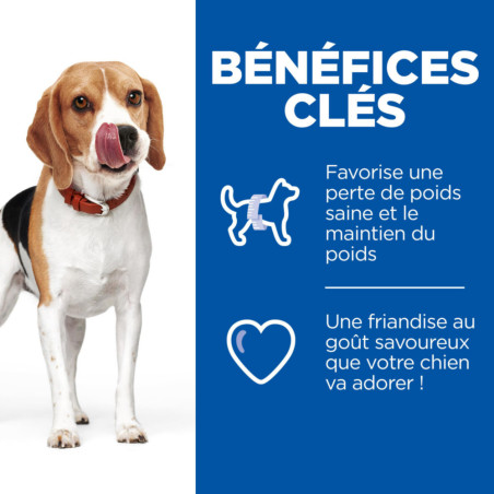 Friandises chien en surpoids