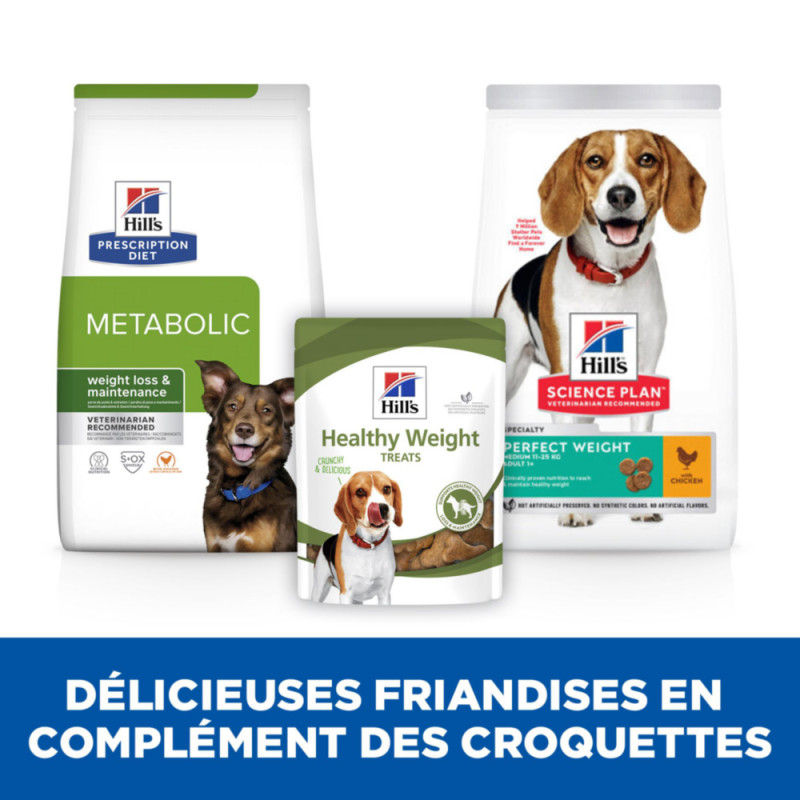 Friandises chien en surpoids