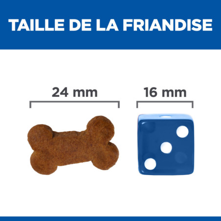 Friandises chien en surpoids