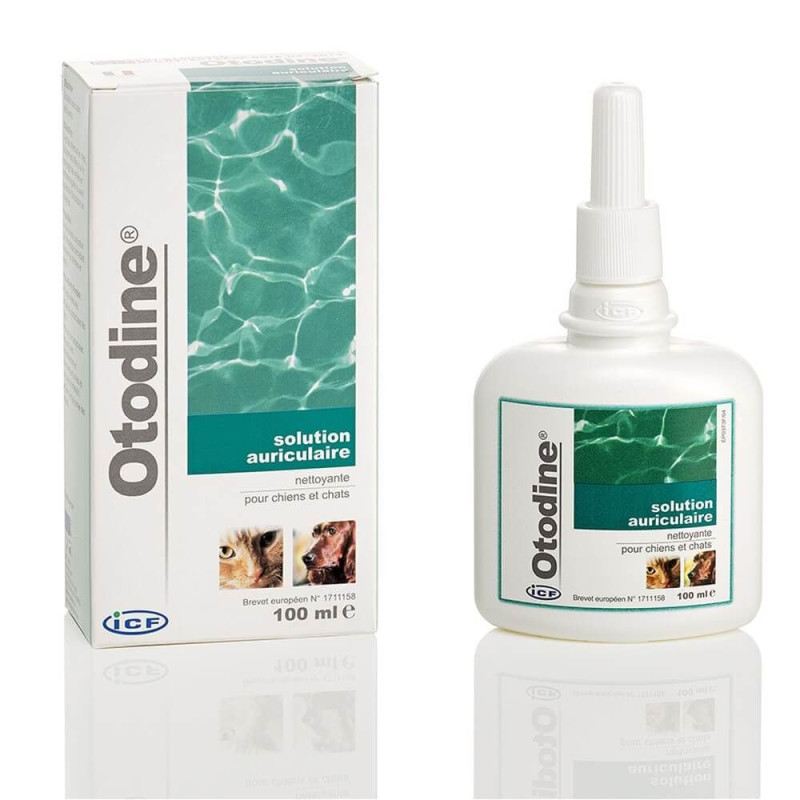 Otodine® 100 ml - Solution auriculaire