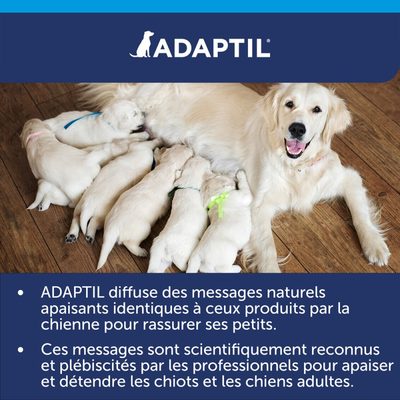 Adaptil Calm Petit Chien