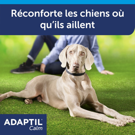 Adaptil Calm Grand Chien