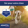 Adaptil Junior