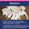 Adaptil Junior