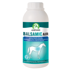 Balsamic Air