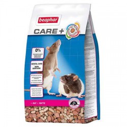 Care + Rat