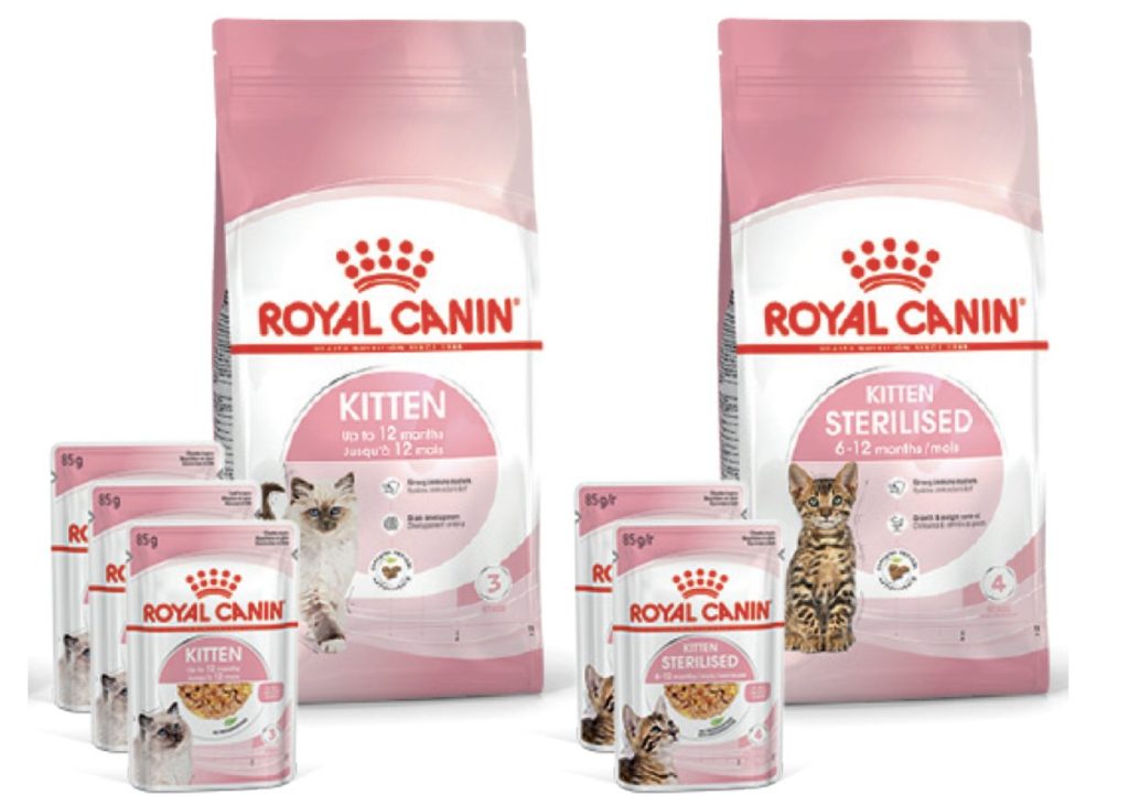 royal canin chat