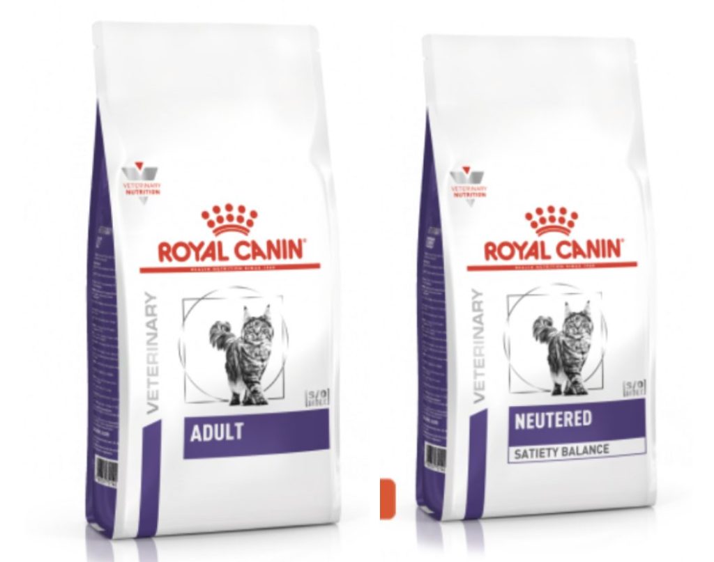 royal canin chat adulte